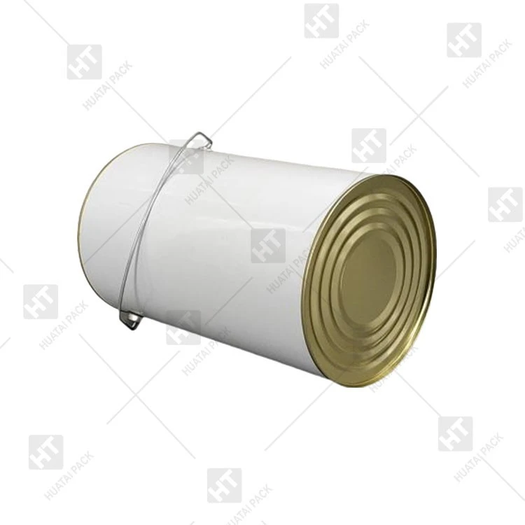 5L Metal Coating Can